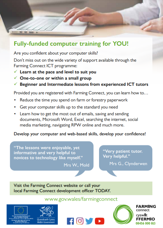 computer training 