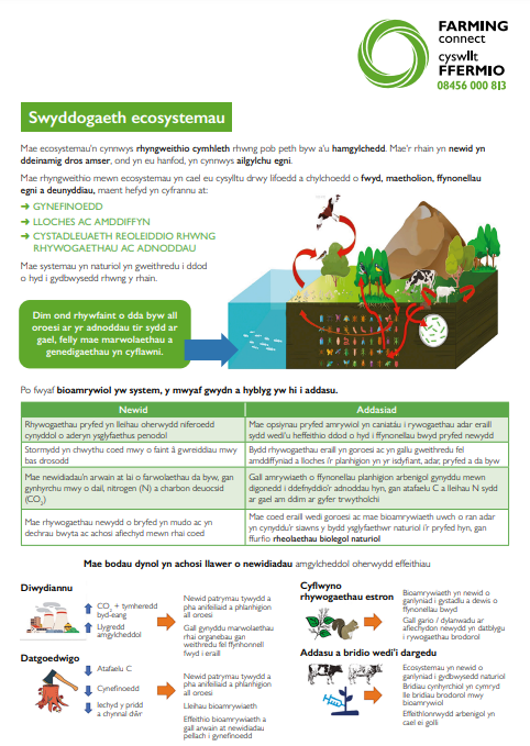 Swyddogaeth ecosystemau