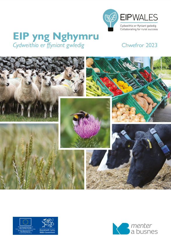 EIP yng Nghymru - Cydweithio er ffyniant gwledig 