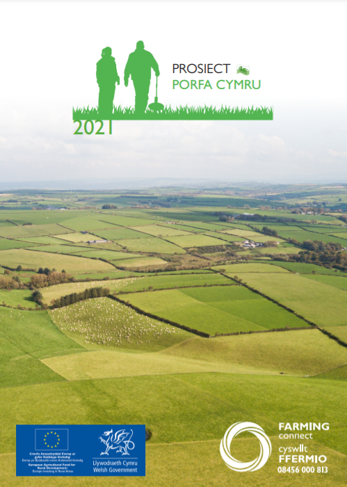 Prosiect Porfa Cymru