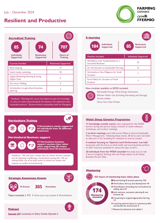 Resilient and Productive - July–December 2024