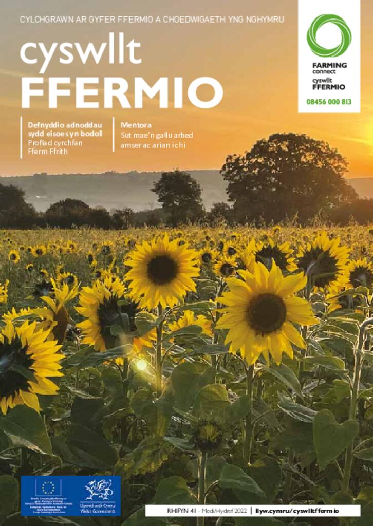 Cyhoeddiad Technegol - Rhifyn 41