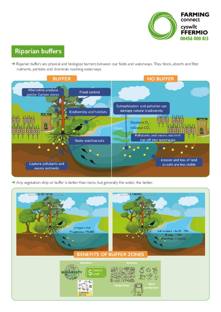 Riparian Buffers Factsheet