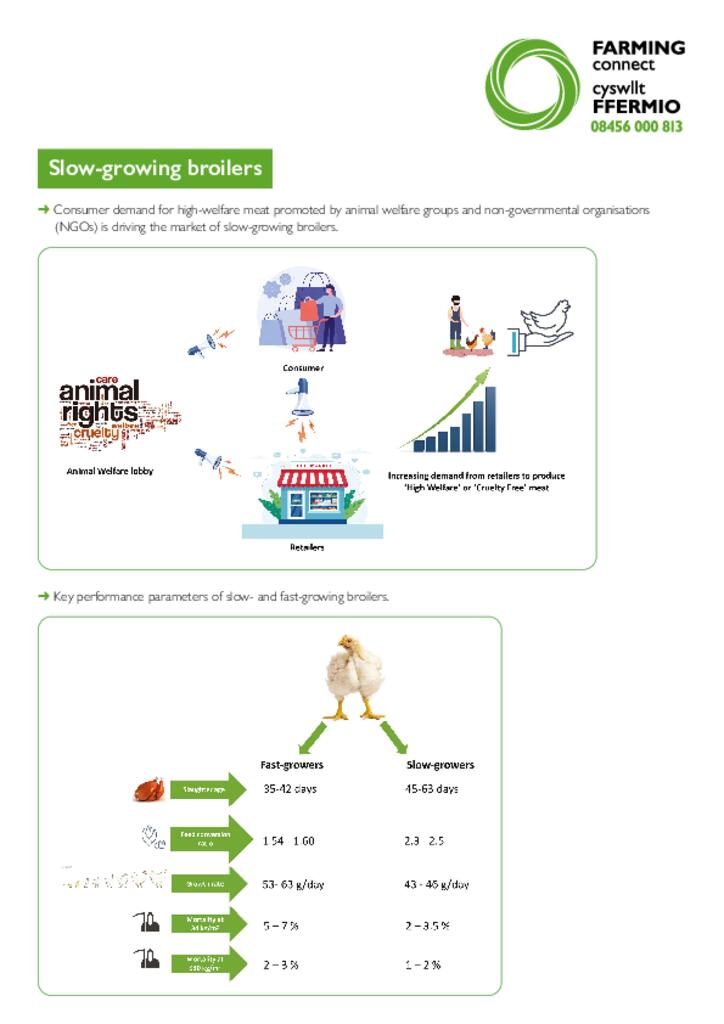 Factsheet - slow growing broilers