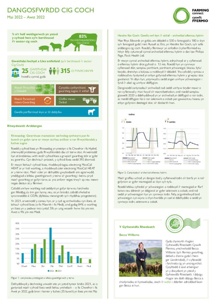 Dangosfwrdd - Cig Coch Medi 22