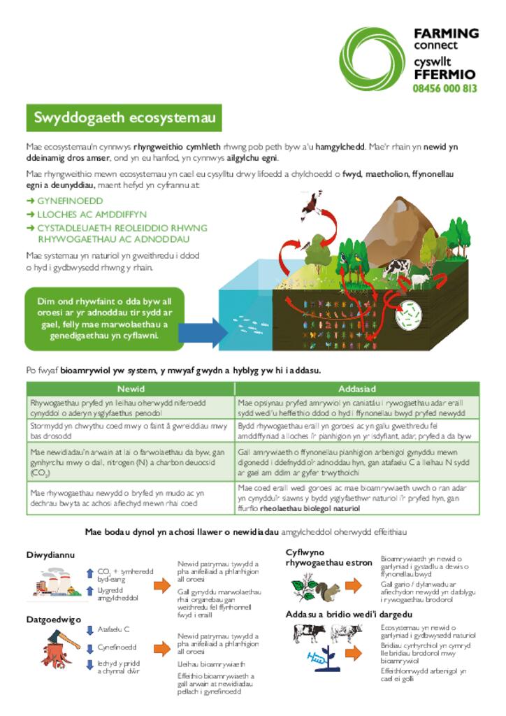 Swyddogaeth Ecosystemau