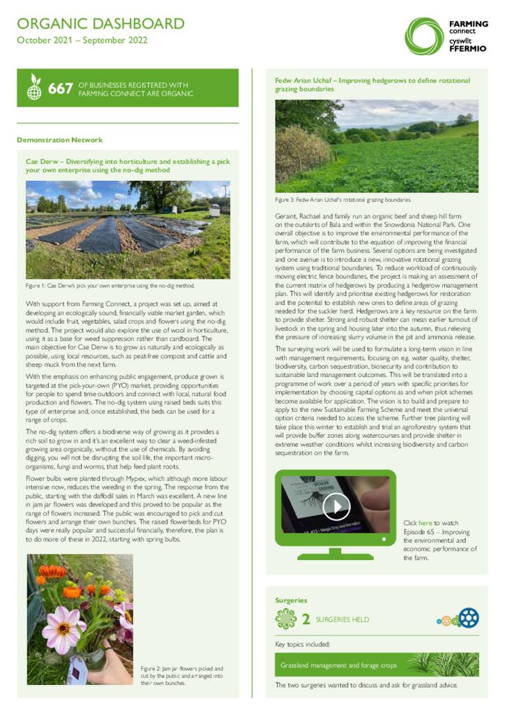 Dashboard - Organic Oct 2022