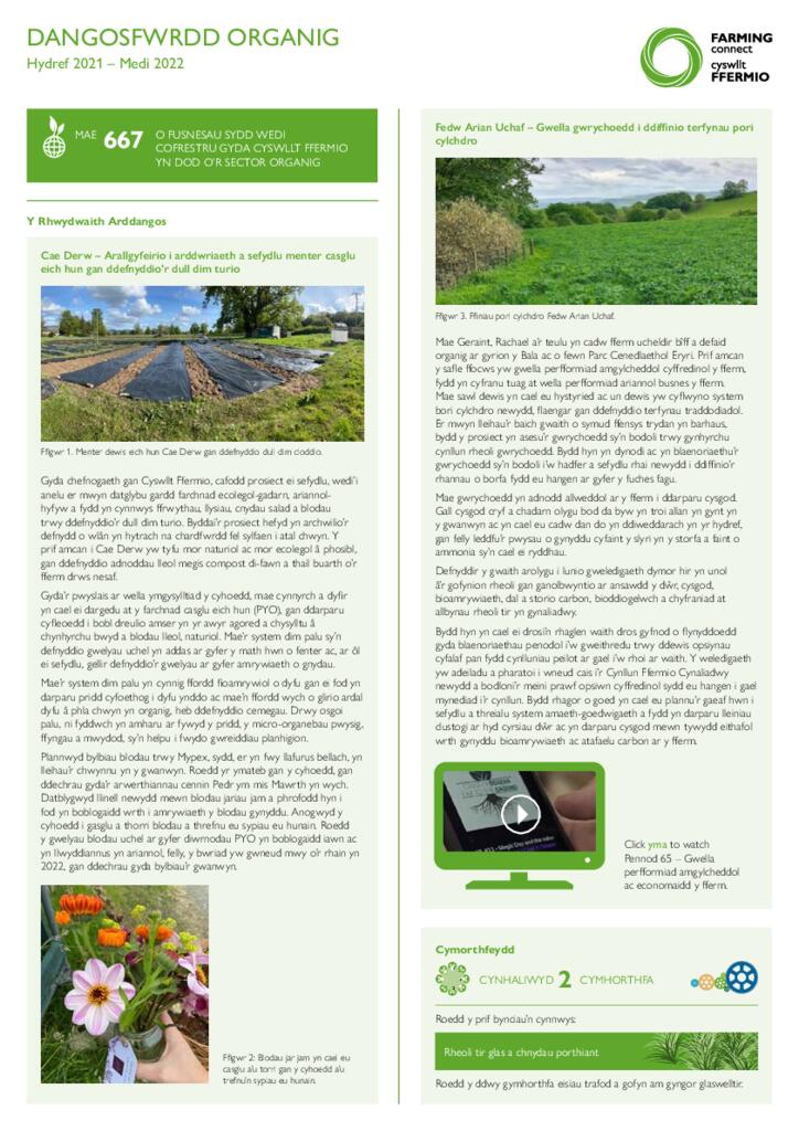 Dangosfwrdd - Organig Hydref 2022