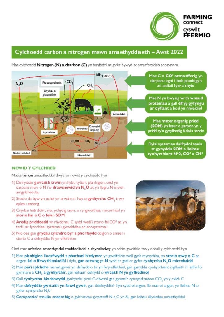 Taflen Gwybodaeth - Cylchoedd carbon a nitrogen