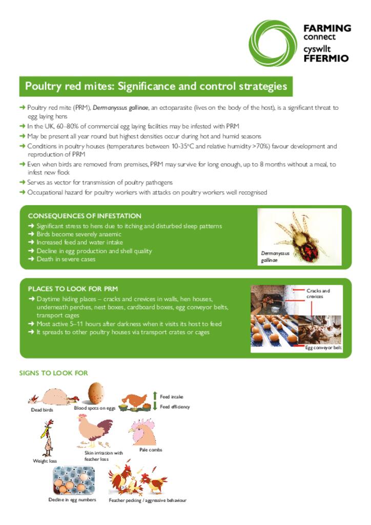 Factsheet - Red Mites