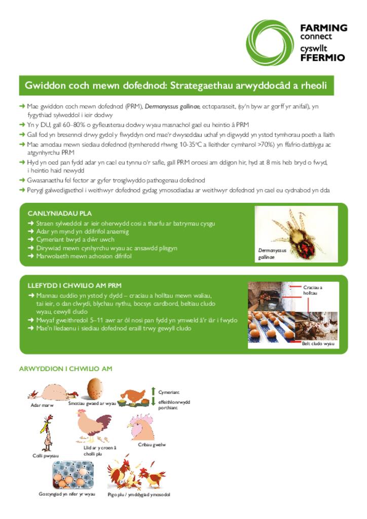 Taflen Gwybodaeth - Gwiddon coch