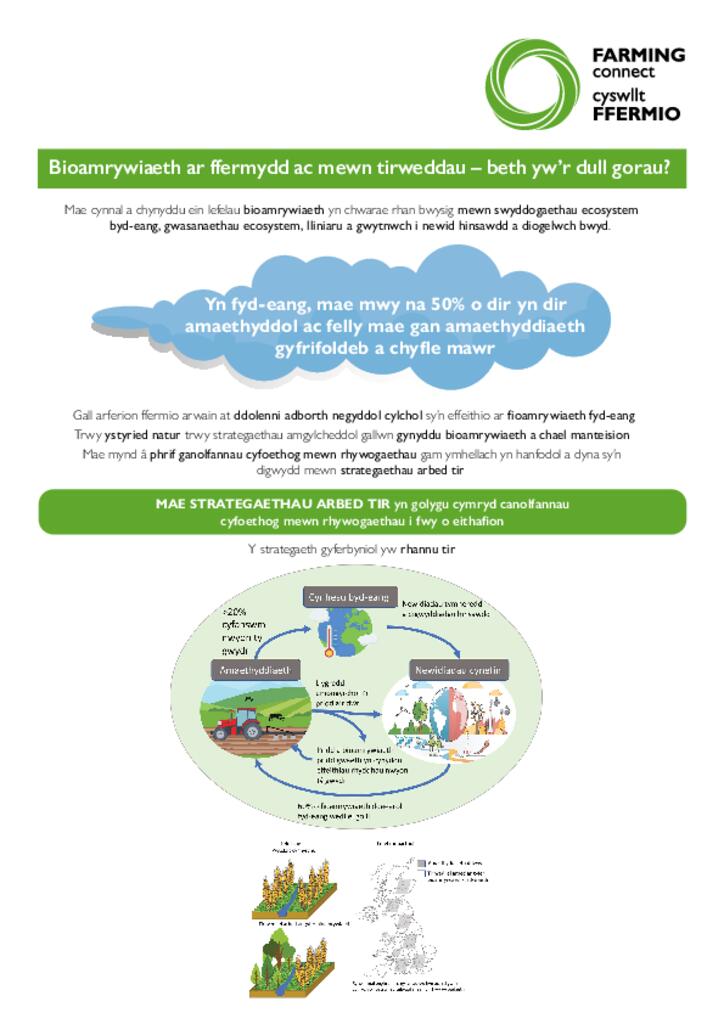 Taflen Gwybodaeth - Bioamrywiaeth