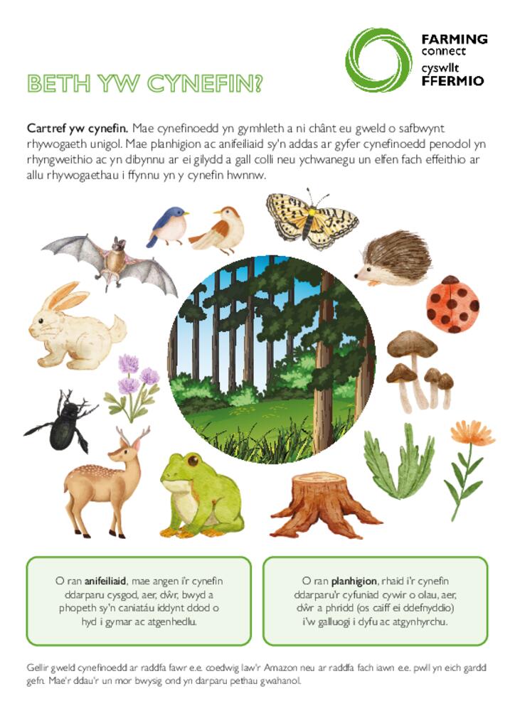 Beth yw Cynefin?