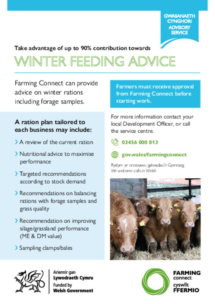 Winter Feeding Advice
