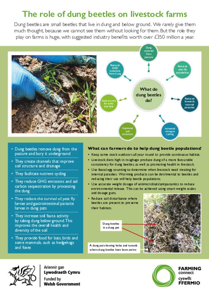 The role of dung beetles on livestock farms