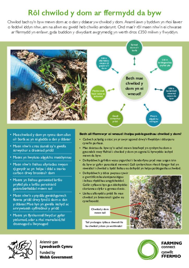Rôl chwilod y dom ar ffermydd da byw