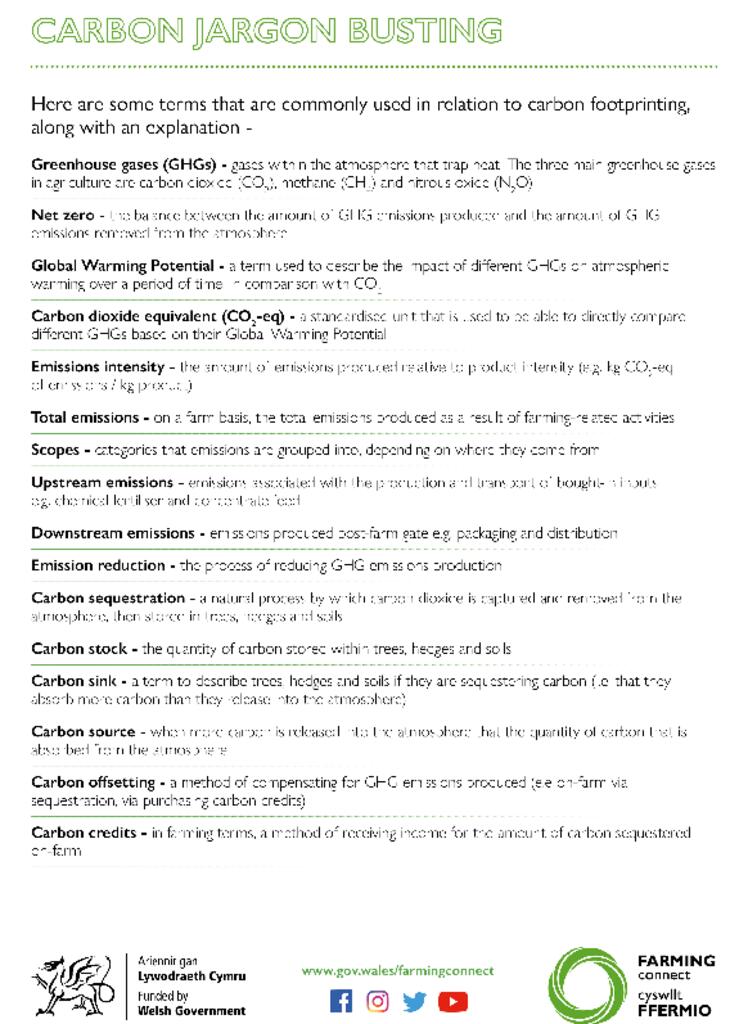 Carbon Jargon Busting