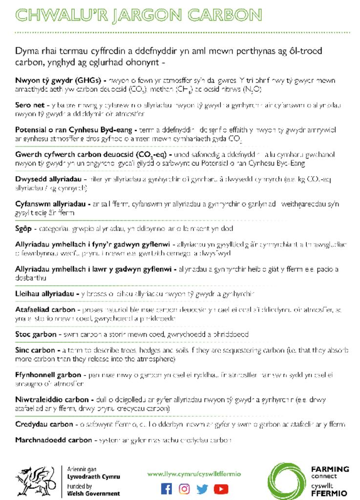 Chwalu’r Jargon Carbon