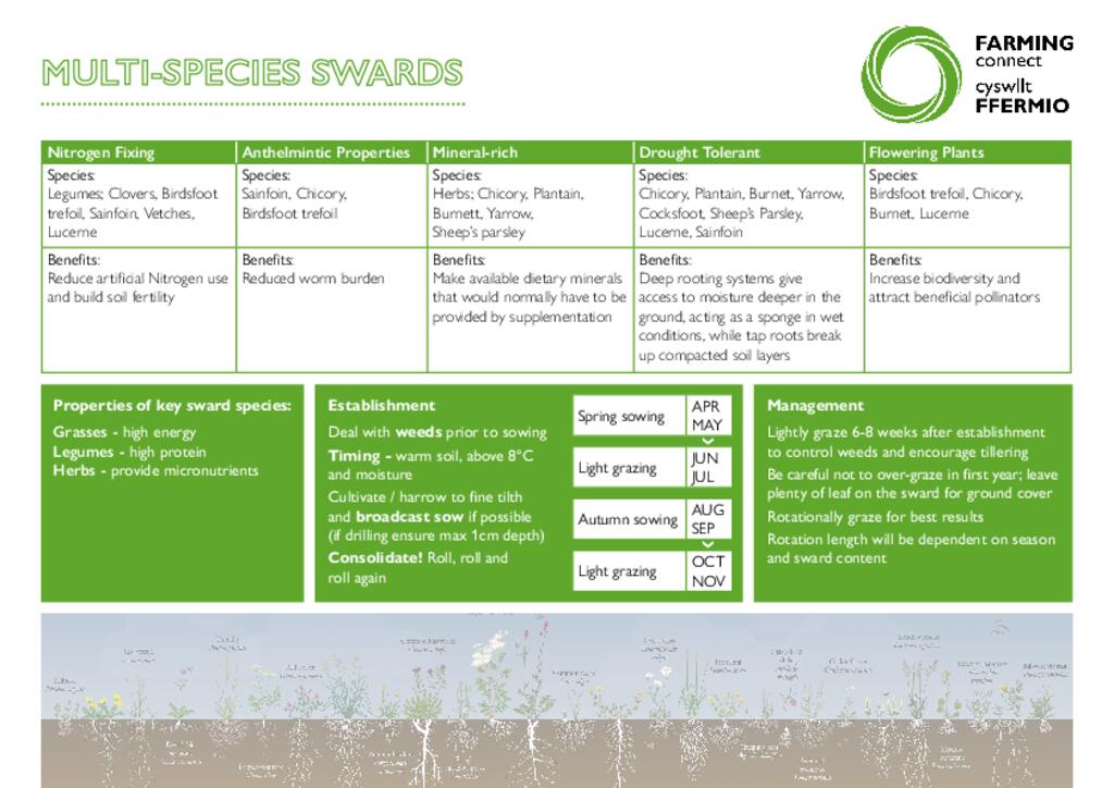 Multi-Species Swards