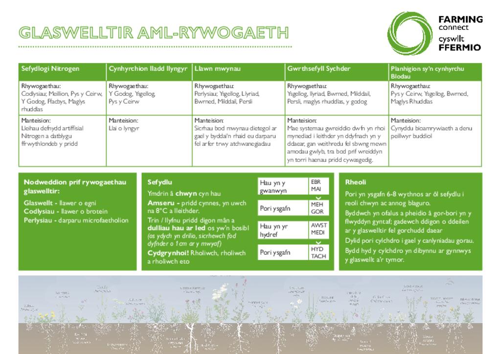 Glaswelltir Aml-Rywogaeth
