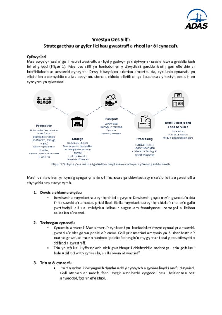 Ymestyn Oes Silff: Strategaethau ar gyfer lleihau gwastraff a rheoli ar ôl cynaeafu