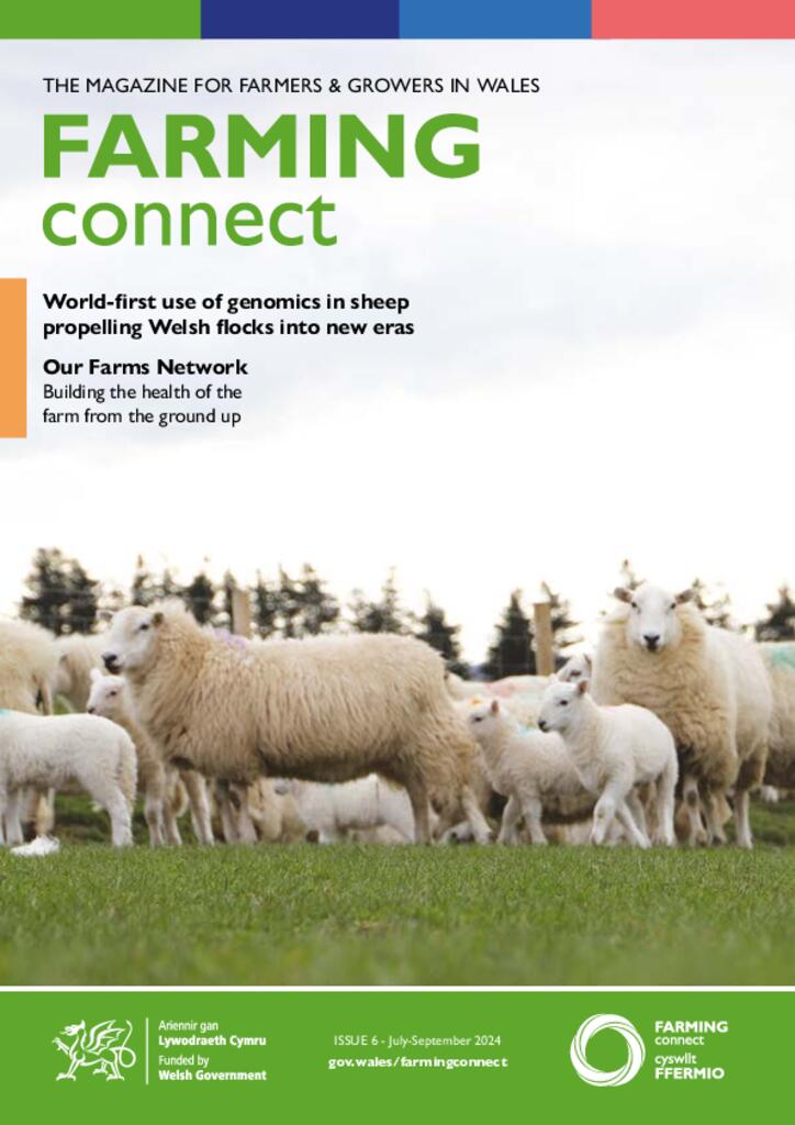 Farming Connect ISSUE 6 - July-September 2024