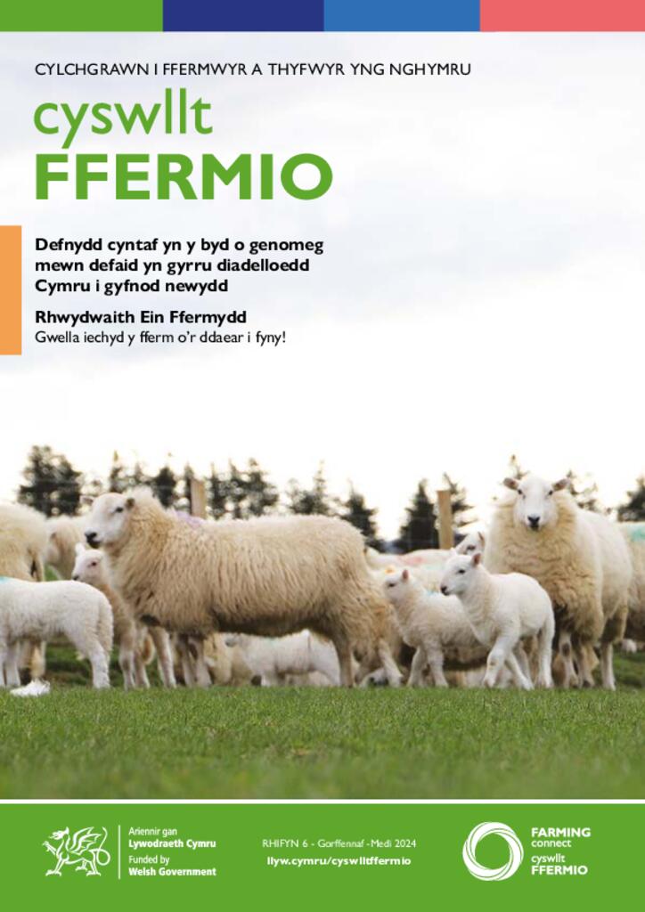 Cyswllt Ffermio - Rhifyn 6 - Gorffennaf -Medi 2024