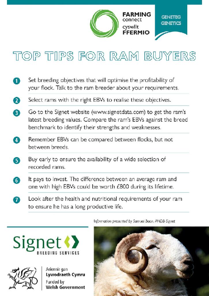 Top Tips For Ram Buyers