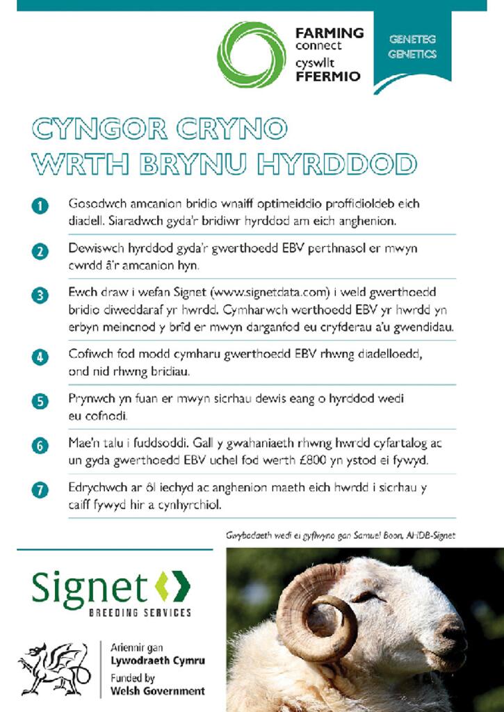 Cyngor Cryno Wrth Brynu Hyddod