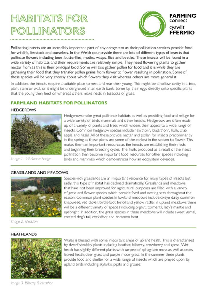 Habitats For Pollinators