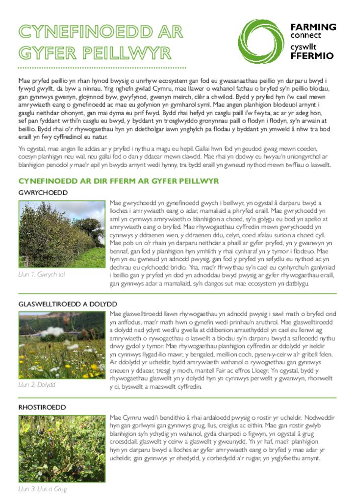 Cynefinoedd Ar Gyfer Peillwyr