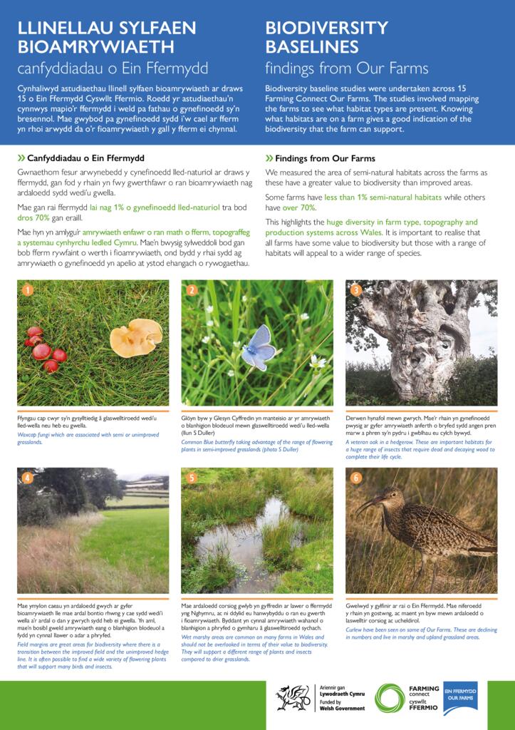 Llinellau Sylfaen Bioamrywiaeth - Biodiversity Baselines