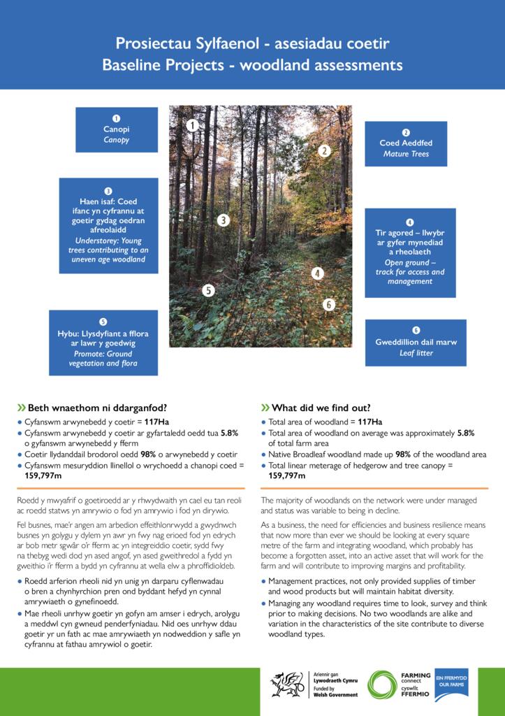 Prosiectau Sylfaenol - asesiadau coetir - Baseline Projects - woodland assessments
