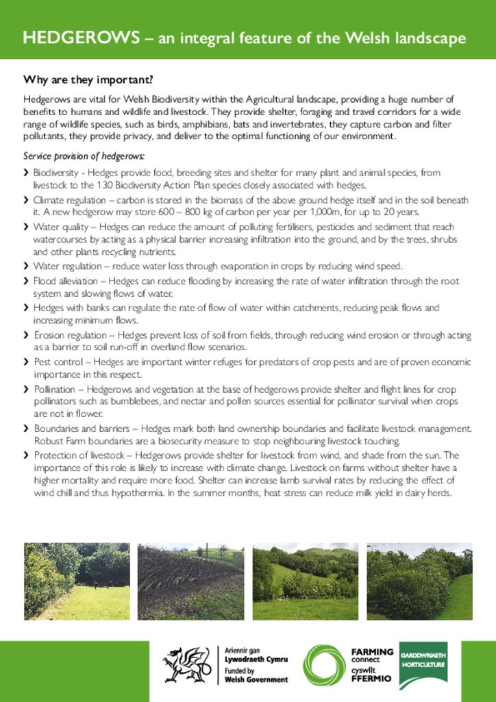 HEDGEROWS – an integral feature of the Welsh landscape