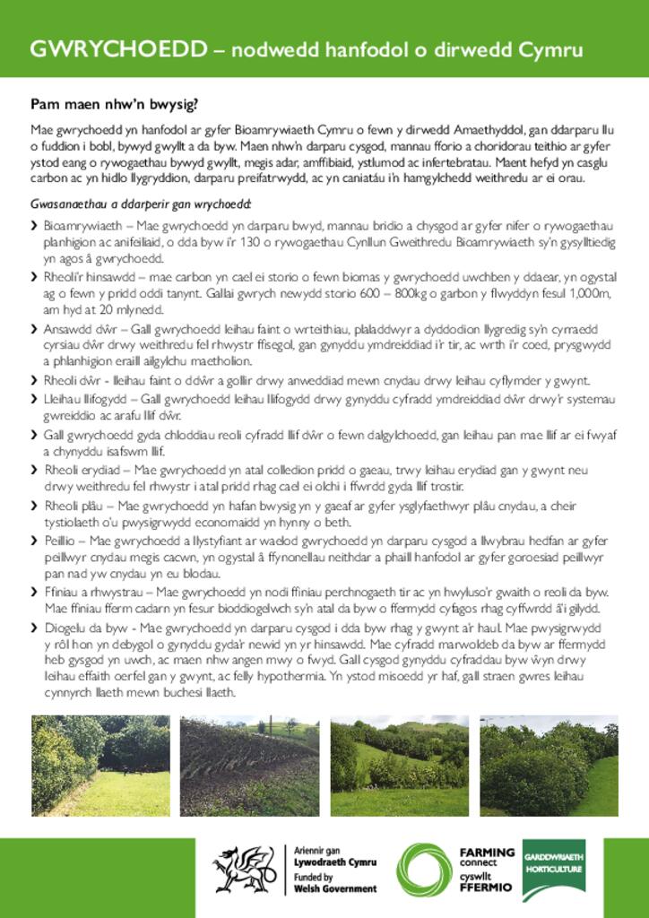 GWRYCHOEDD – nodwedd hanfodol o dirwedd Cymru