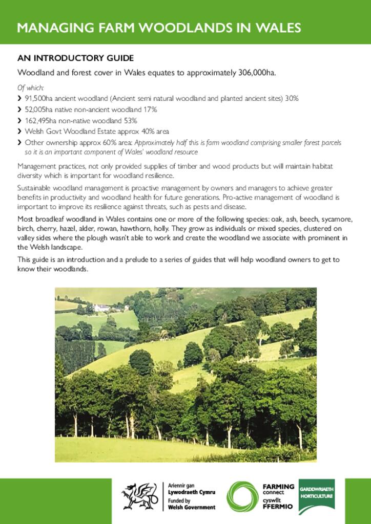 Managing Farm Woodlands In Wales
