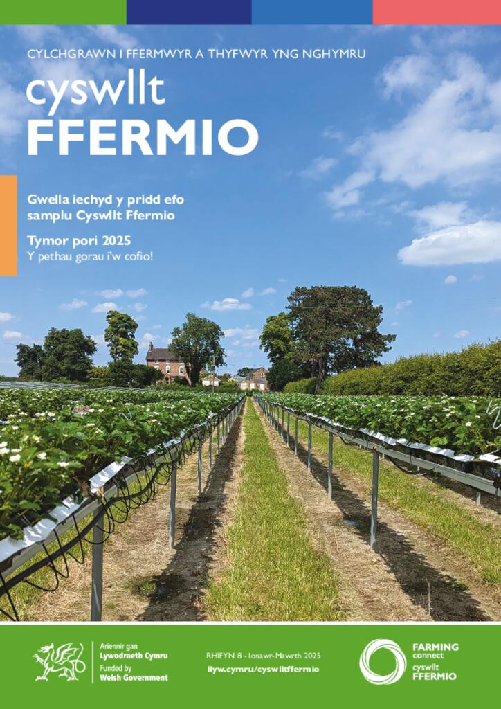 Cyswllt Ffermio - RHIFYN 8 - Ionawr - Mawrth 2025