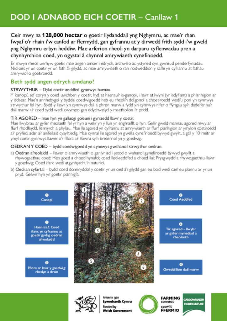 DOD I ADNABOD EICH COETIR – Canllaw 1