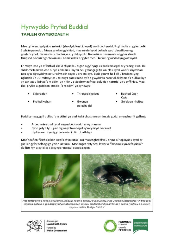 Promoting Beneficial Insects_cy