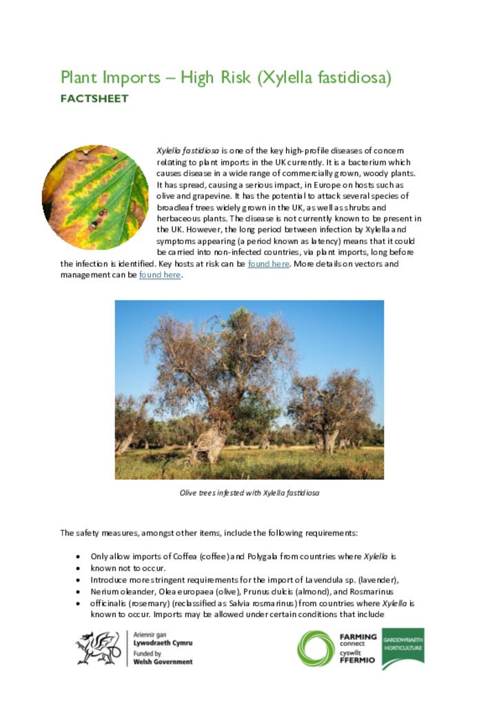 High risk plant imports Xylella fastidiosa