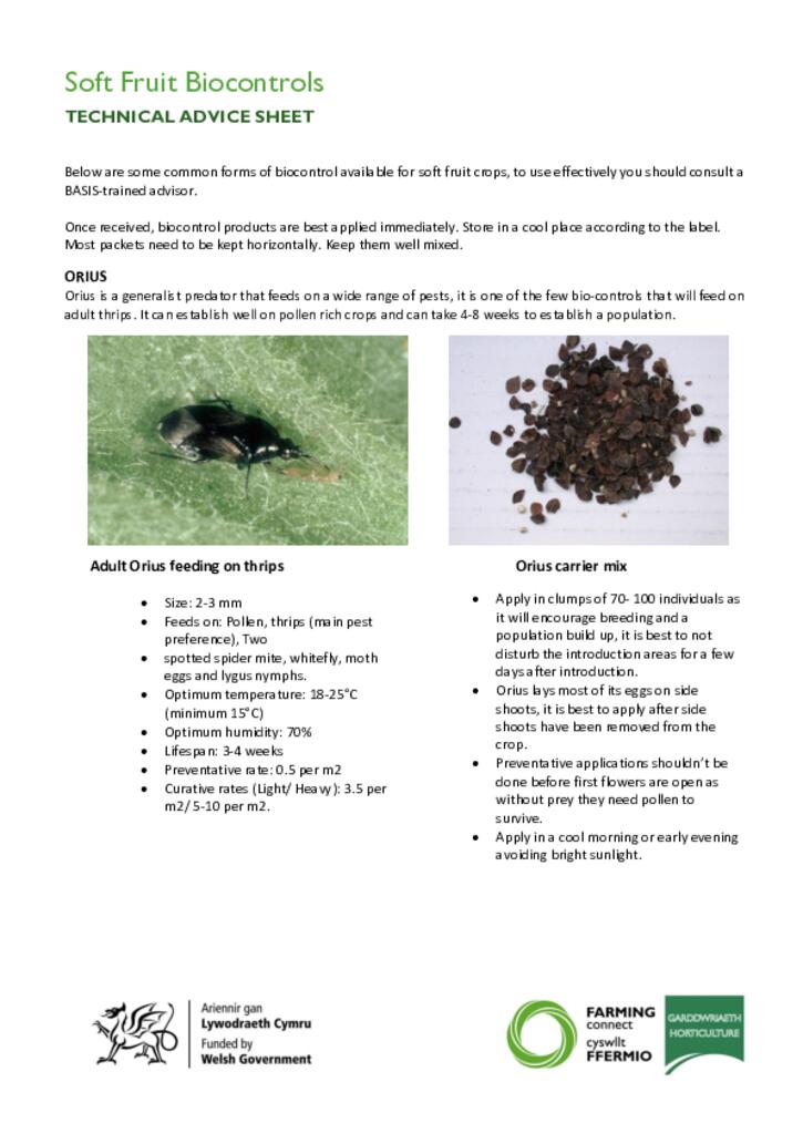 Soft Fruit Biocontrols