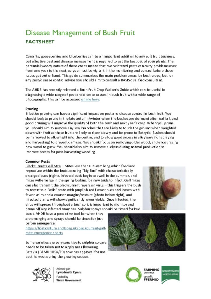 Disease Management of Bush Fruit