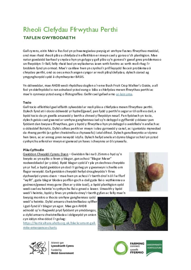 Rheoli Clefydau Ffrwythau Perthi