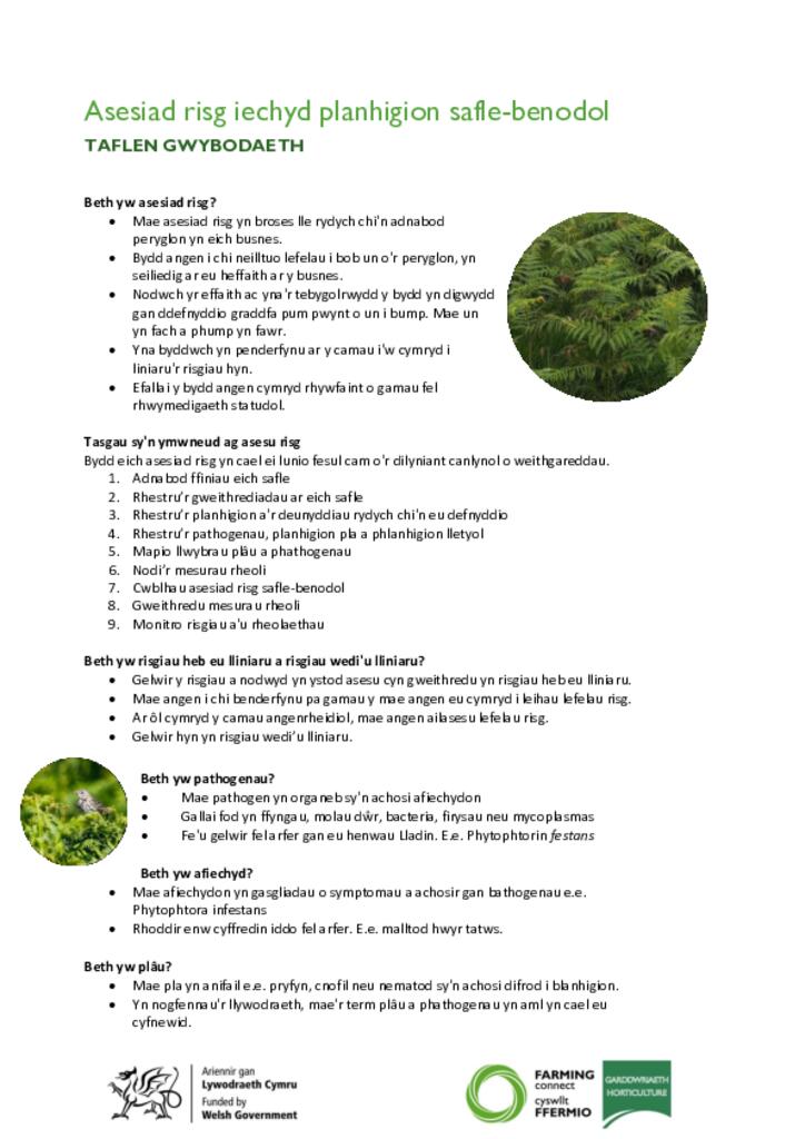 Asesiad Risg Iechyd Planhigion Safle-Benodol