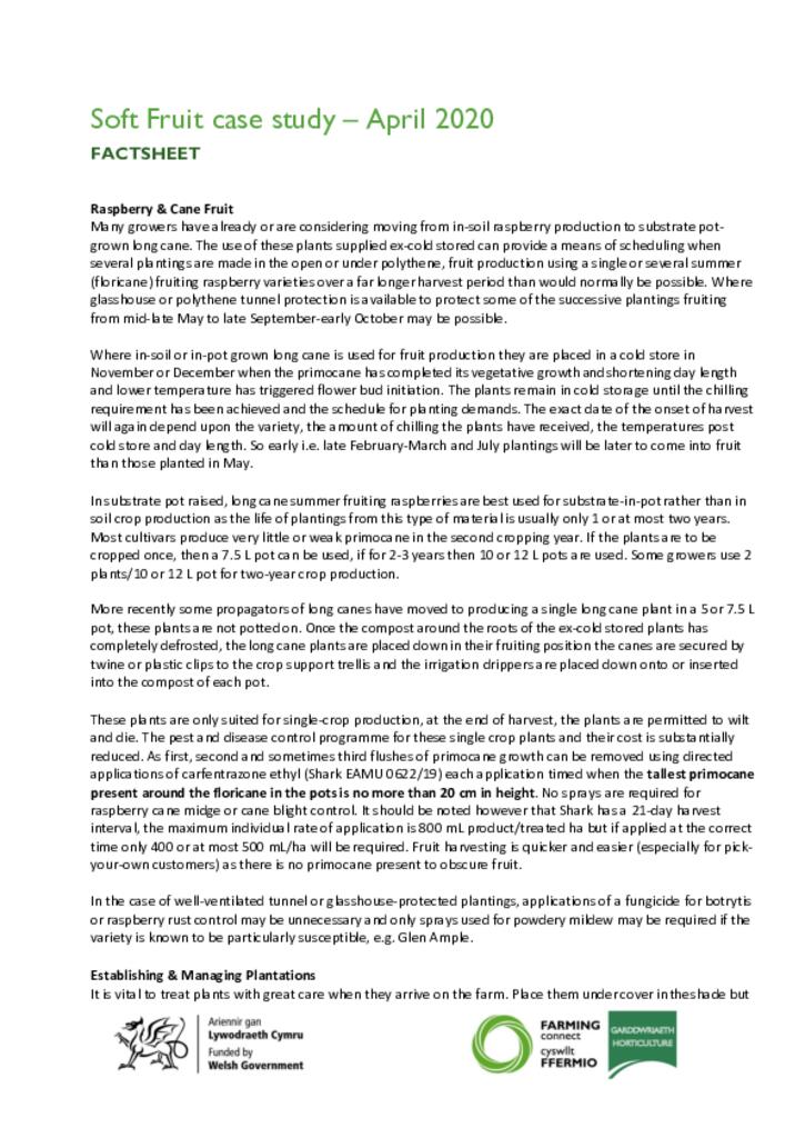 Soft Fruit case study – April 2020
