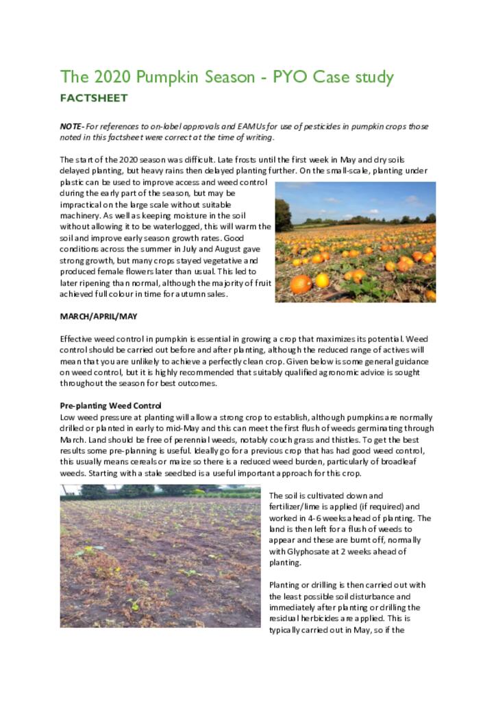 The 2020 Pumpkin Season - PYO Case study