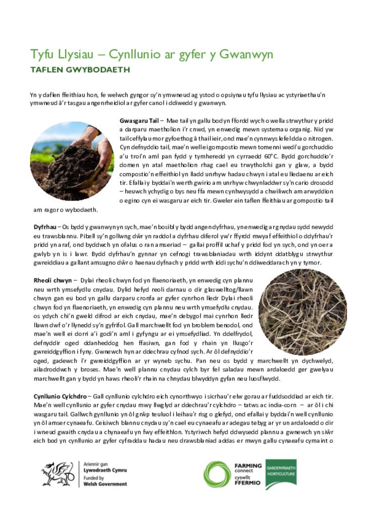 Tyfu Llysiau – Cynllunio ar gyfer y Gwanwyn