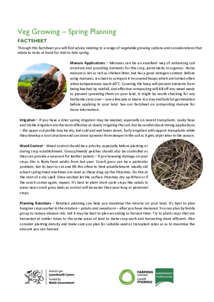 Veg Growing – Spring Planning