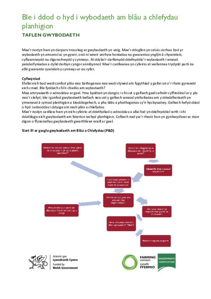 Ble i ddod o hyd i wybodaeth am blâu a chlefydau planhigion