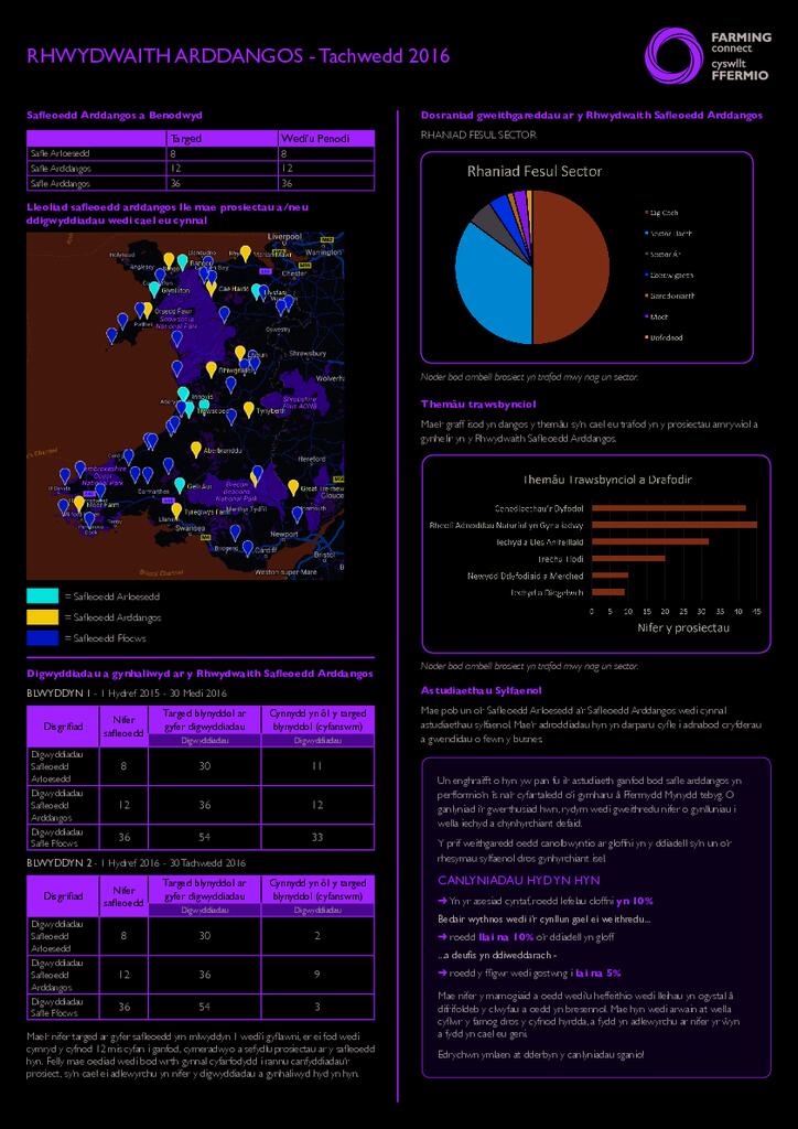 Rhwydwaith Arddangos: Tachwedd 2016